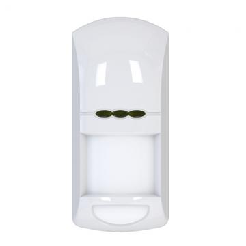 Wireless digital PIR detector
