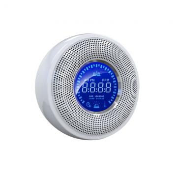 Wireless Gas Detector